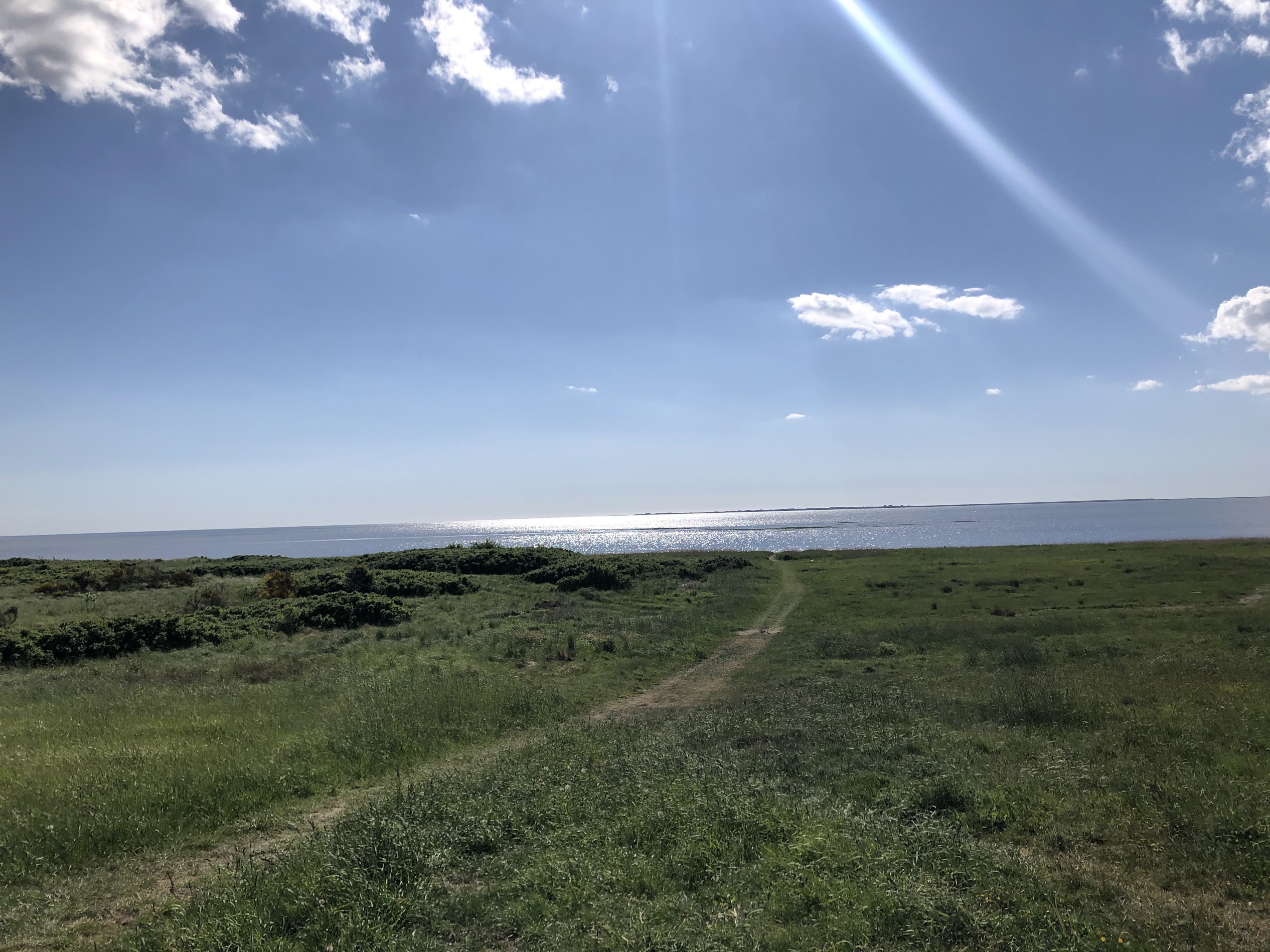 Vadehavet ved Ribe
